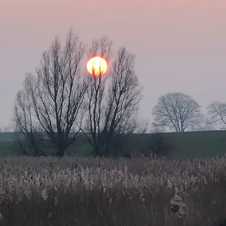 公寓 Gutshaus Redentin *