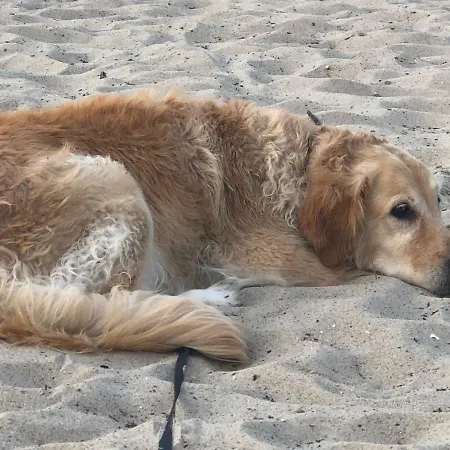 Gutshaus Redentin 公寓 Krusenhagen