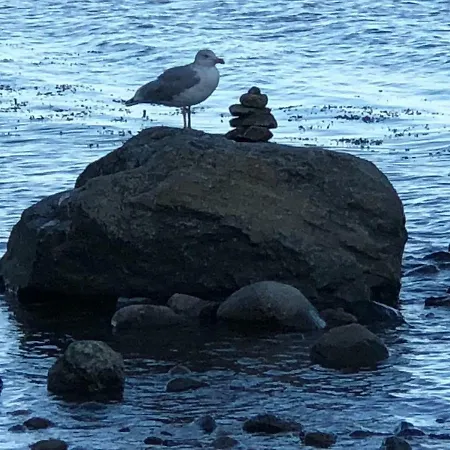 公寓 Gutshaus Redentin *