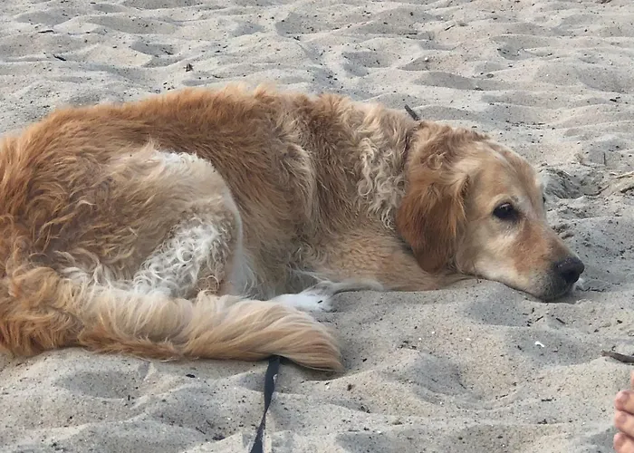 Gutshaus Redentin Apartment Krusenhagen